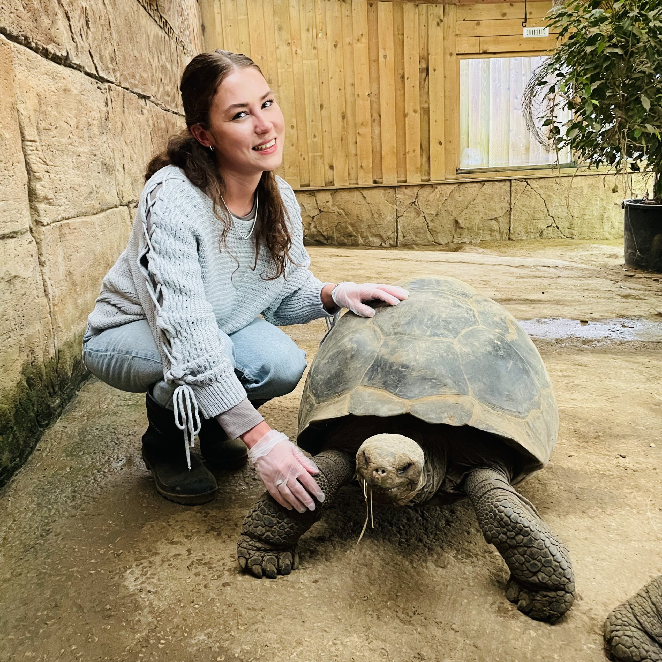 Emily Fellows and tortoise
