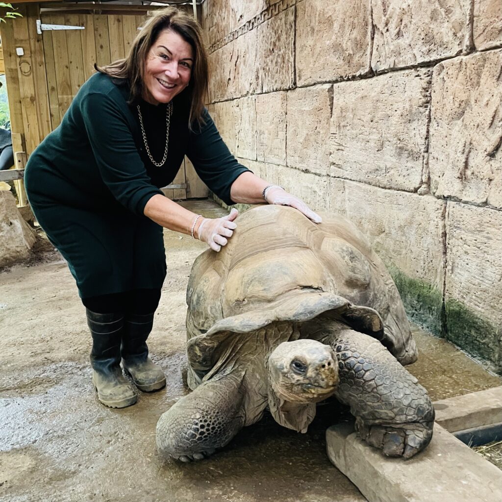 Karen Sweetingham and tortoise