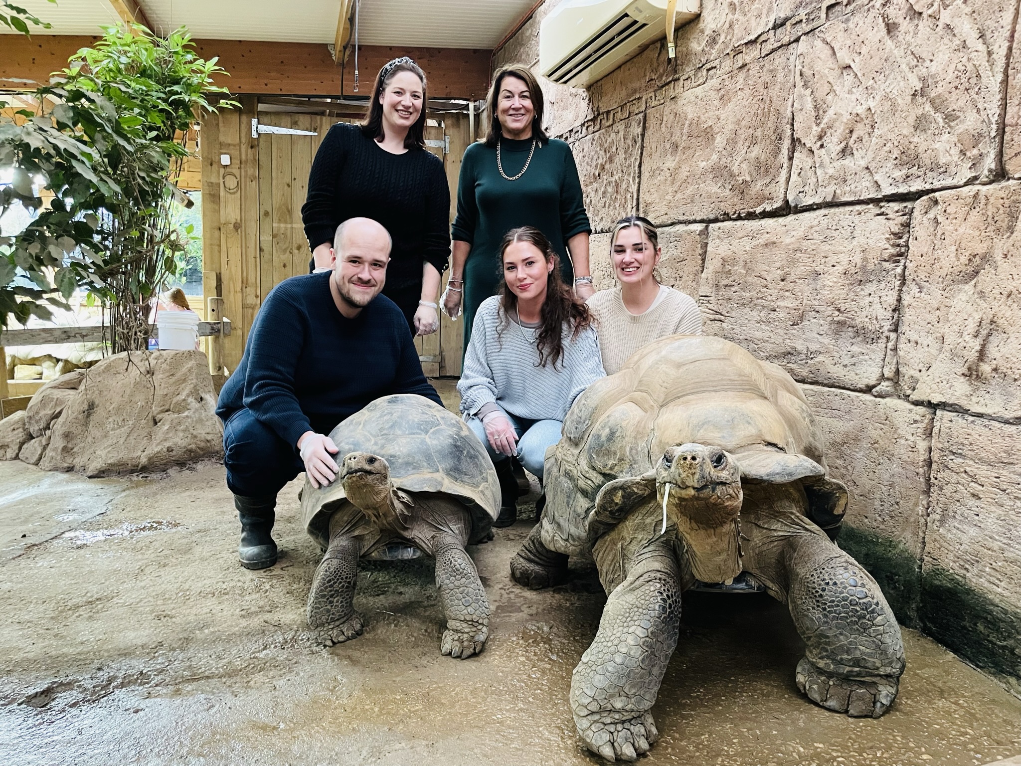 Talking Tortoise's Marketing Team with UK's only breeding group of Galapagos Tortoises.