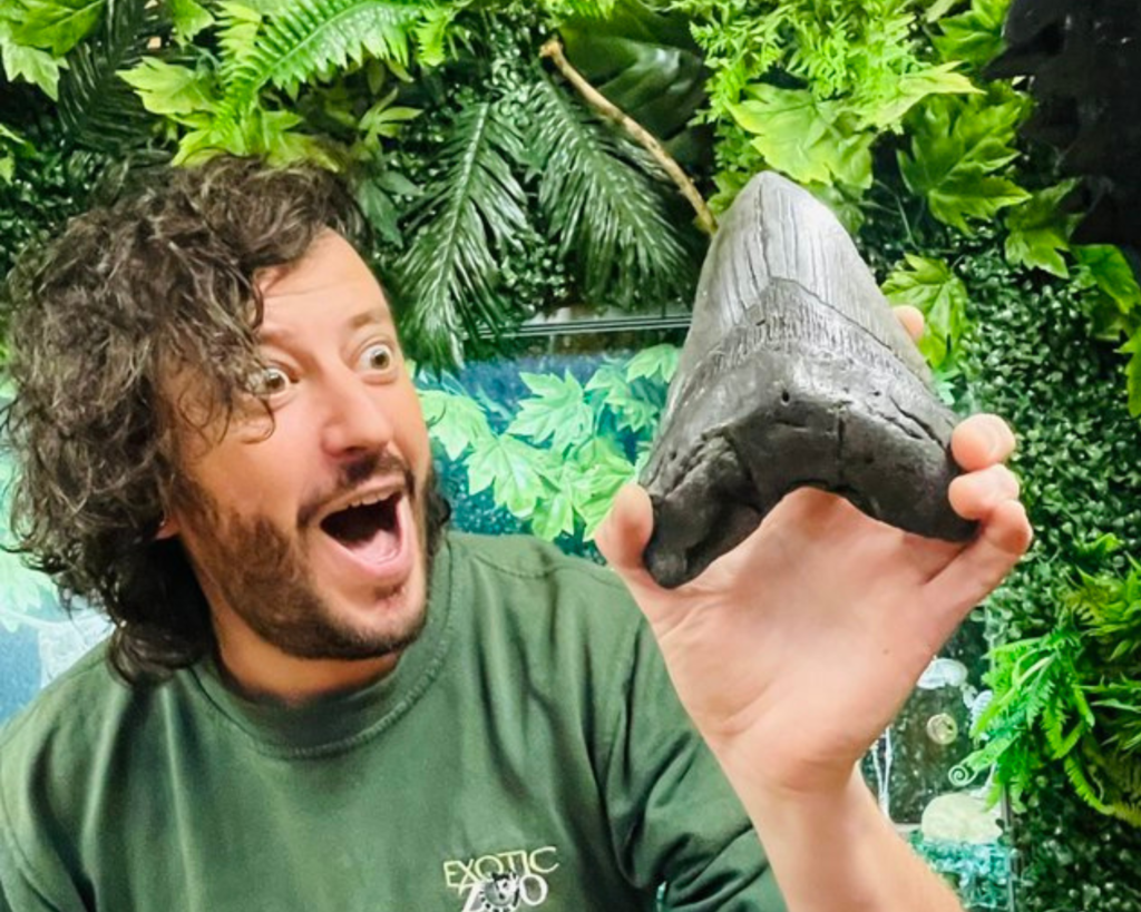 Exotic Zoo Director, Scott Adams with Megalodon tooth.