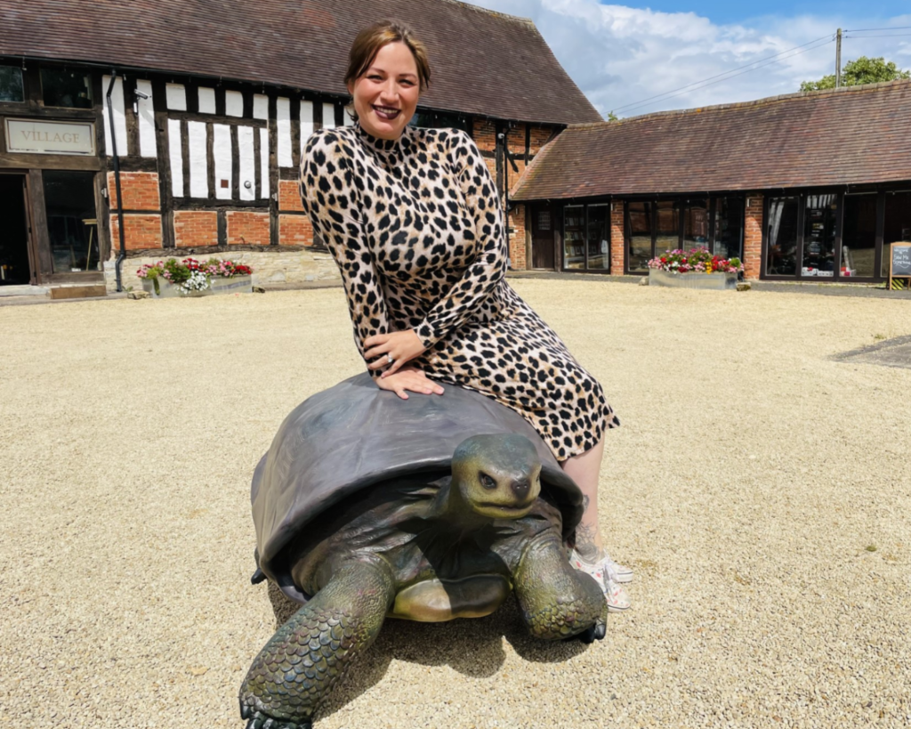 Talking Tortoise Shakespeare's England