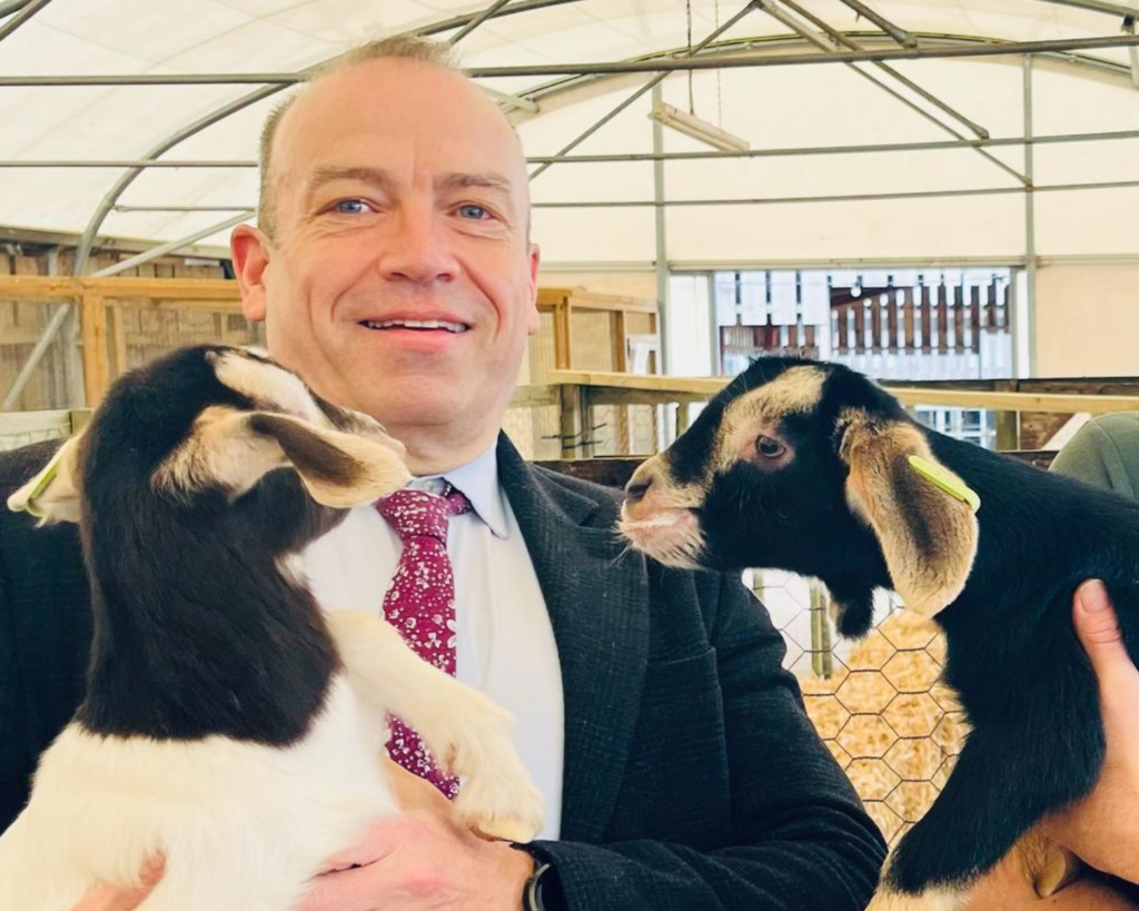 Chris Heaton-Harris MP meets Mini Meadows' Goats