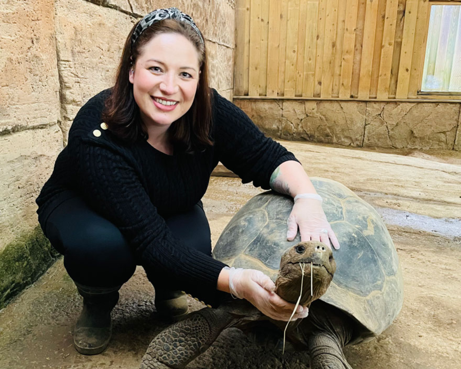 Jessica Blyth-Sweetingham Talking Tortoise