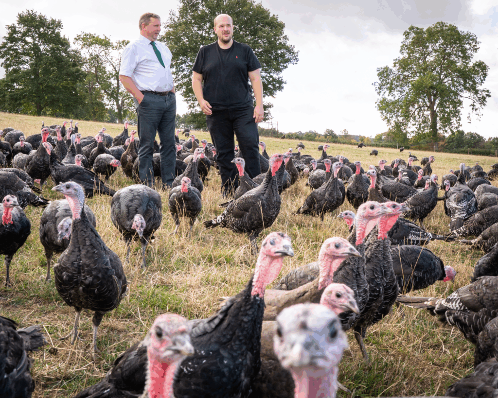 Lower Clopton Farm Richard Baldwyn and Martin Blyth-Sweetingham standing with Golden Turkeys