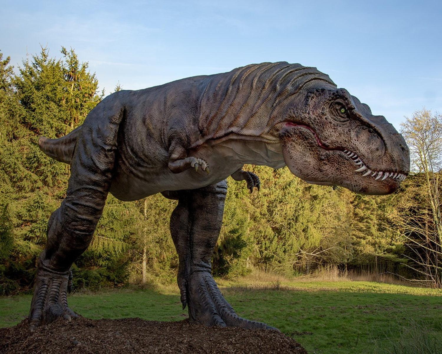Dinosaur Park UK