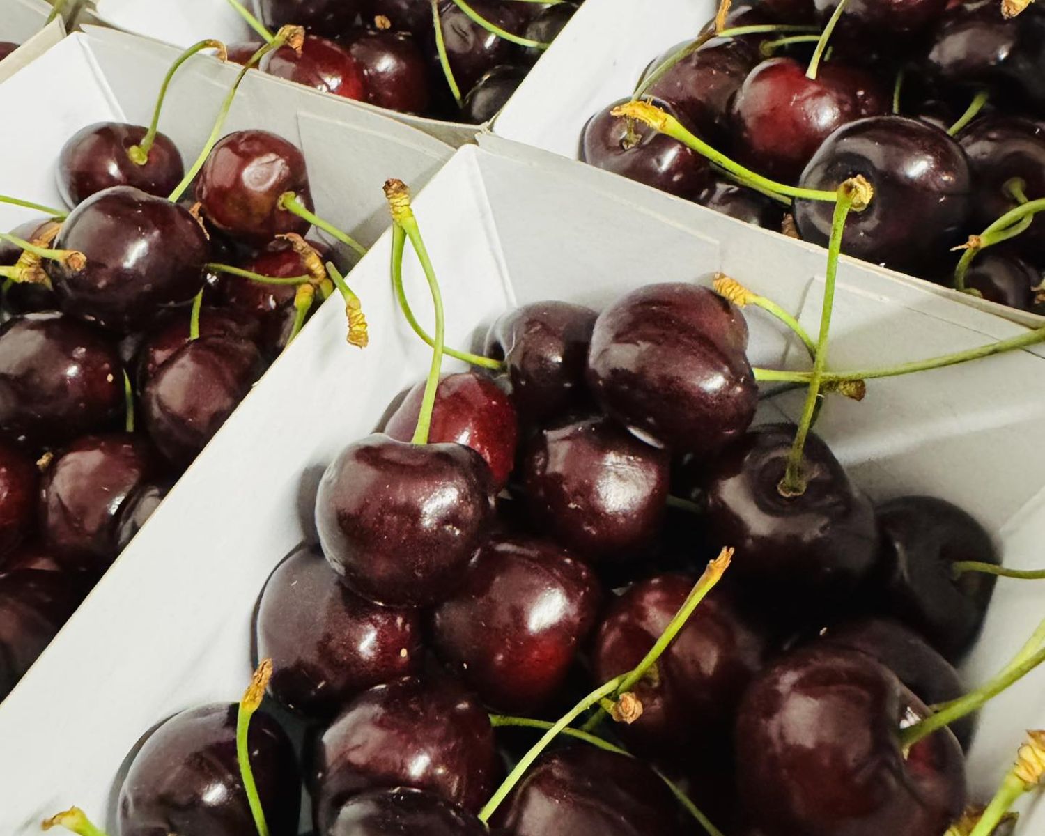Summer Marketing Made Easy Footfall-Focused Tips for Farm Shops