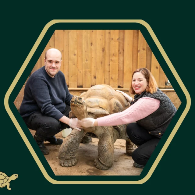 🤩 Attracting your ideal audience…

🏆 When it comes to running an attraction, it’s not just about getting more visitors, it’s about getting the right ones. 

😊 You want (and deserve) visitors who will engage, re-visit, and rave about you to everyone they know!