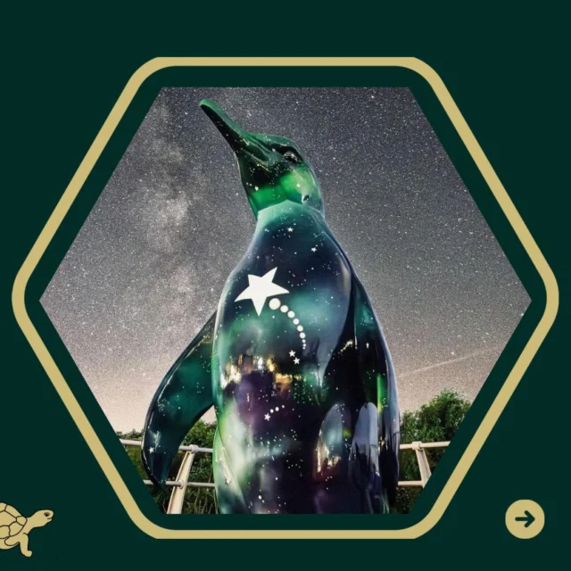 🐧 Happy World Penguin Day! 

🐢 From a family tie to Antarctica to the impressive penguin proudly standing in our office, penguins have always been close to Team Tortoise. 

❗️We’ve just shared a blog all about why these incredible birds need our attention.

👀 Want to know more? Head over to Tortoise Talk on our website to read about how we’re using our platform to raise awareness.
