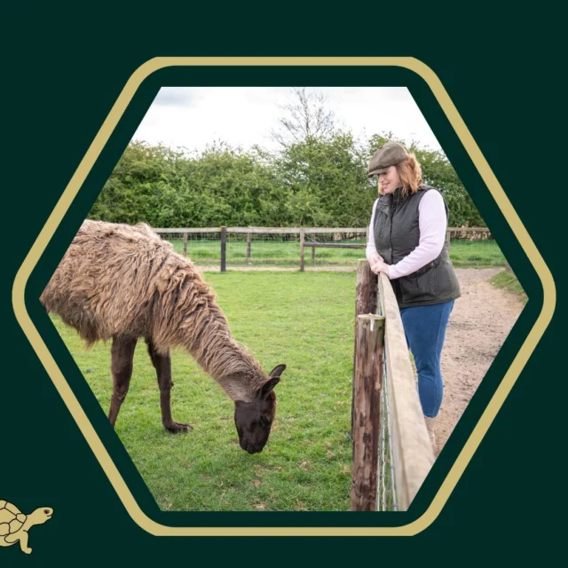 🌞 Summer 2025 is nearly here but is your farm ready to stand out?

🔍 We’re keeping a close eye on three key Agri-Tourism trends that are shaping the season ahead.

🤔 Curious to find out what’s capturing visitor attention and how your farm can keep up?

👉 Head to Tortoise Talk on our website to find out more!